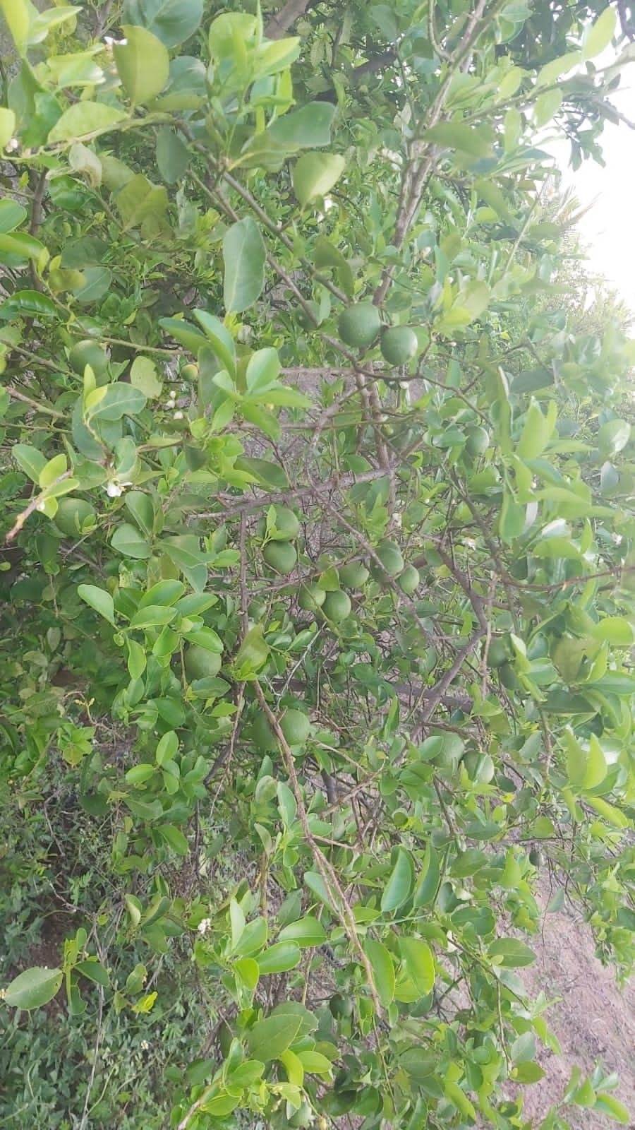 WhatsApp-Image-2023-02-24-at-4.14.24-PM