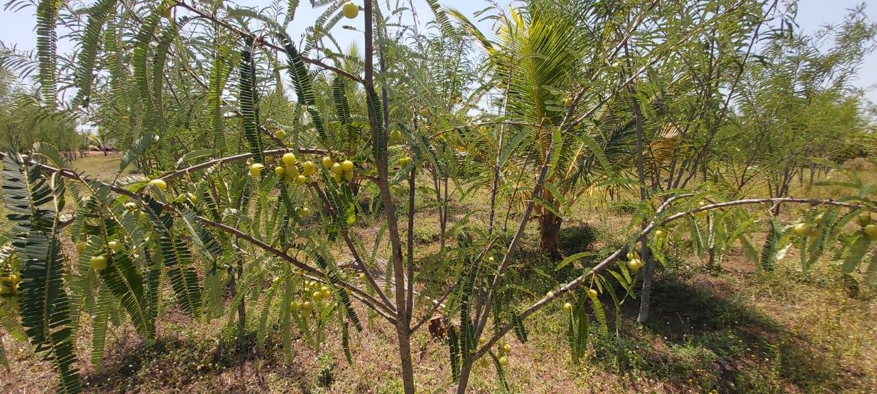 WhatsApp-Image-2023-02-24-at-4.31.04-PM