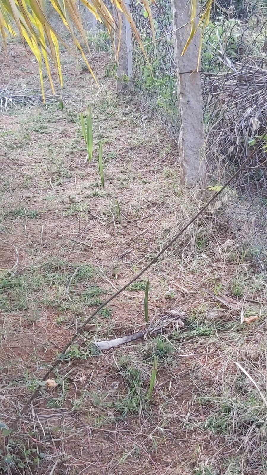 WhatsApp-Image-2023-02-24-at-4.31.05-PM