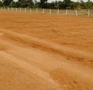 WhatsApp-Image-2023-02-25-at-3.13.36-PM