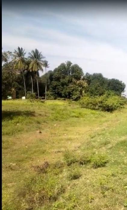 WhatsApp-Image-2023-02-27-at-2.03.59-PM