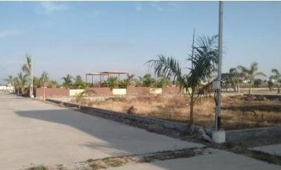 WhatsApp-Image-2023-02-28-at-11.24.55-AM