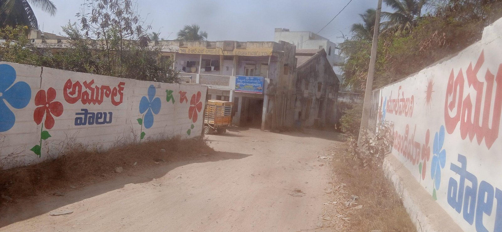 IMG_20230308_144625_1