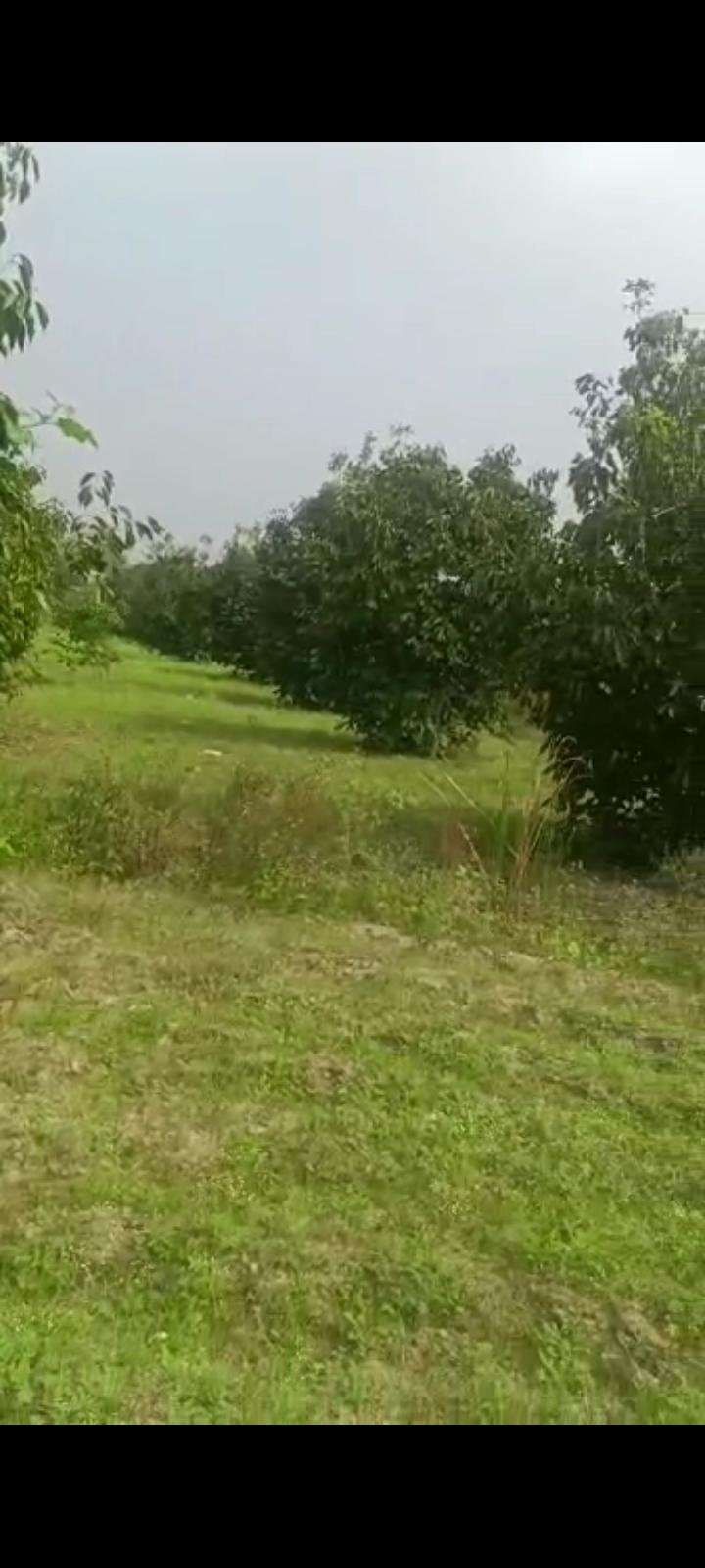 Screenshot_2023-03-10-12-07-49-851_com.whatsapp