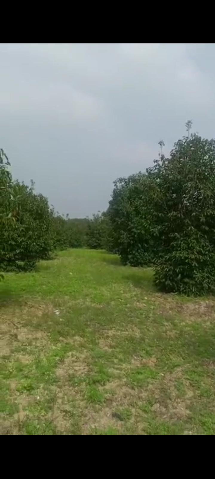 Screenshot_2023-03-10-12-08-54-283_com.whatsapp