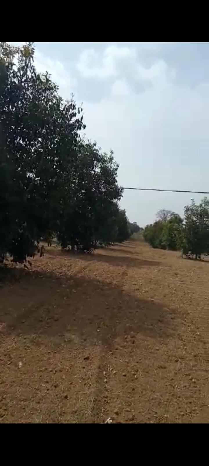 Screenshot_2023-03-10-12-09-11-730_com.whatsapp