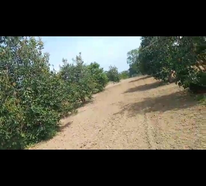 Screenshot_2023-03-10-12-09-50-752_com.whatsapp