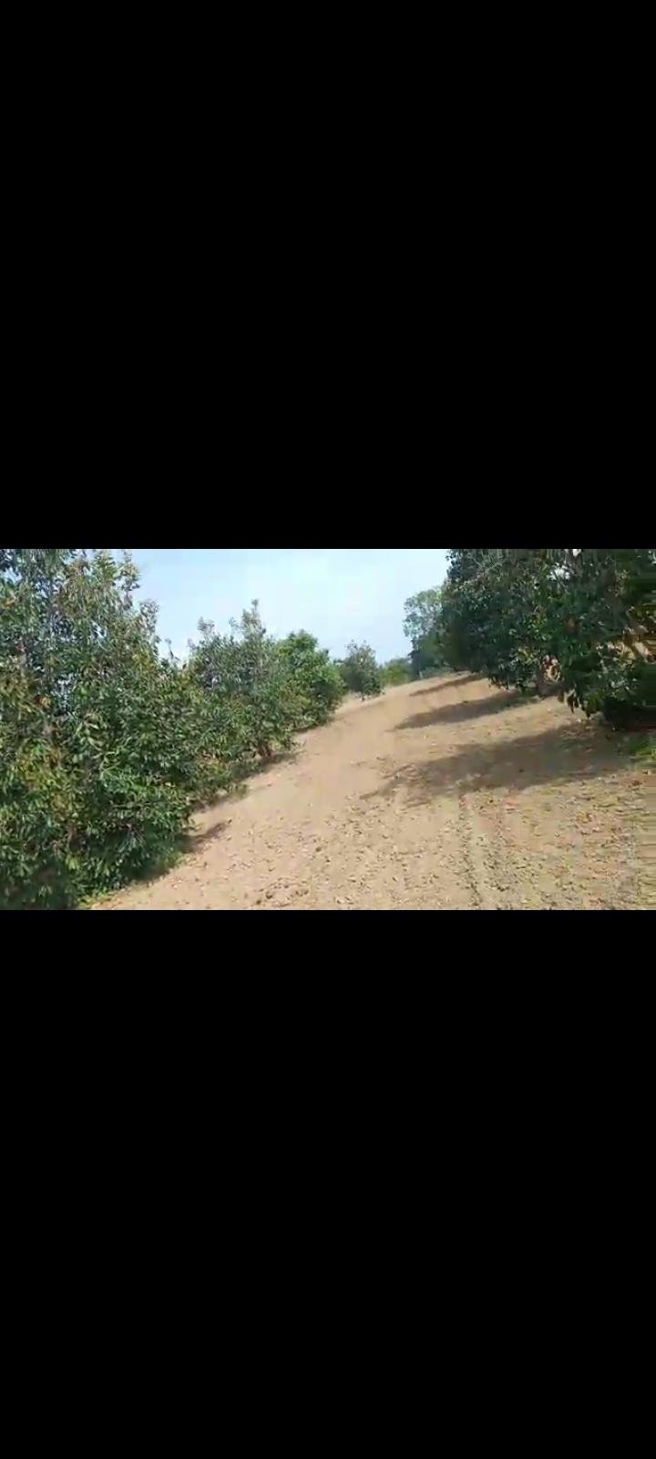 Screenshot_2023-03-10-12-09-50-752_com.whatsapp