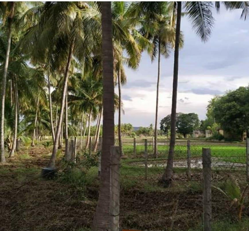 WhatsApp-Image-2023-03-07-at-4.08.11-PM