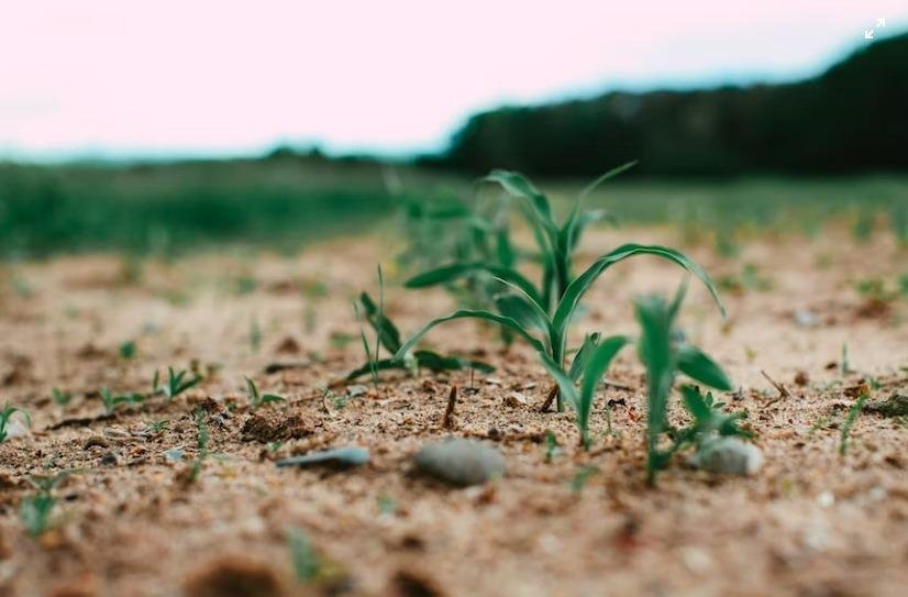 WhatsApp-Image-2023-03-08-at-1.03.40-PM