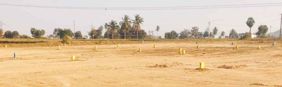 WhatsApp-Image-2023-03-08-at-12.50.42-PM