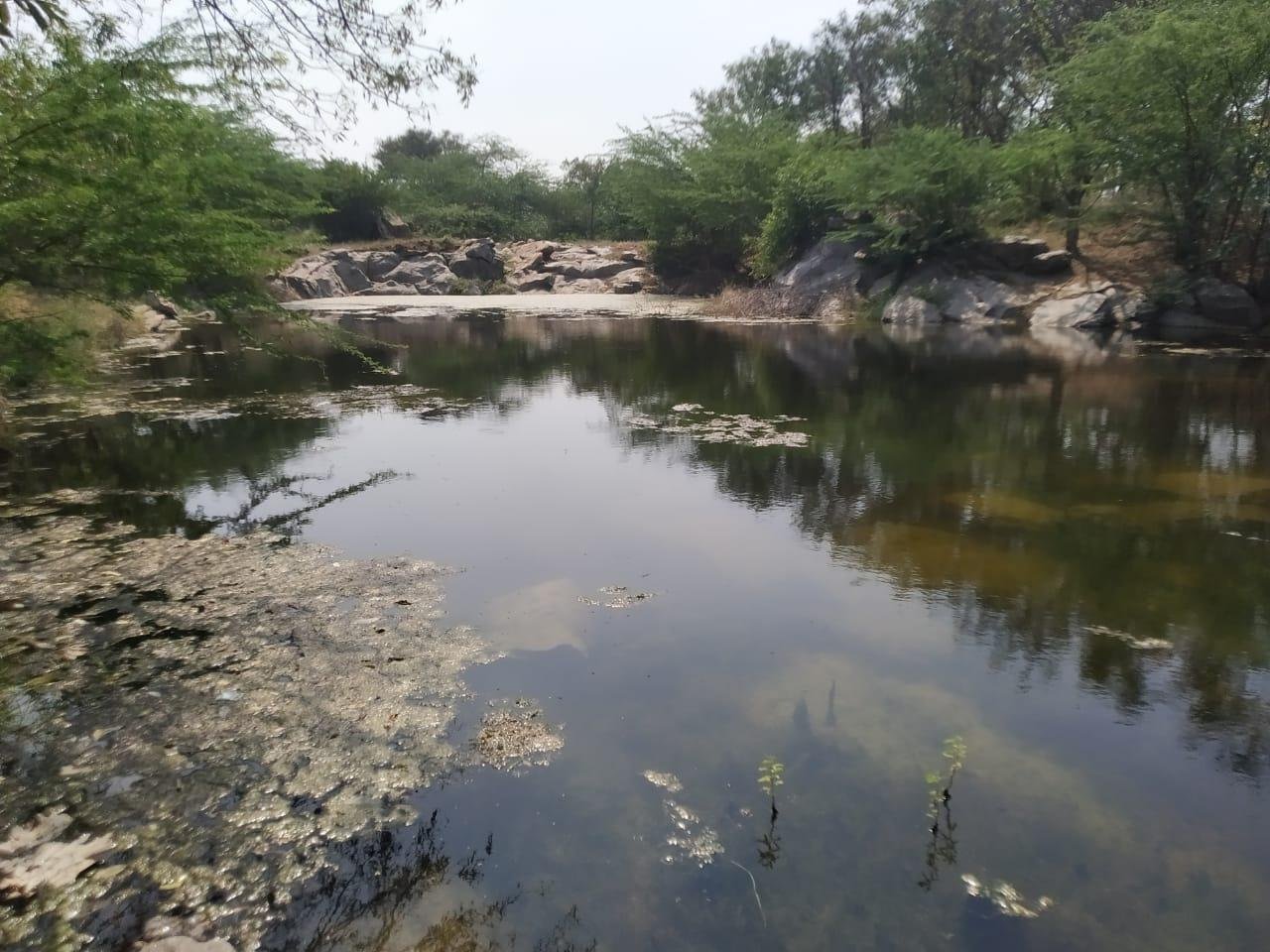 WhatsApp-Image-2023-03-08-at-7.53.54-AM-1