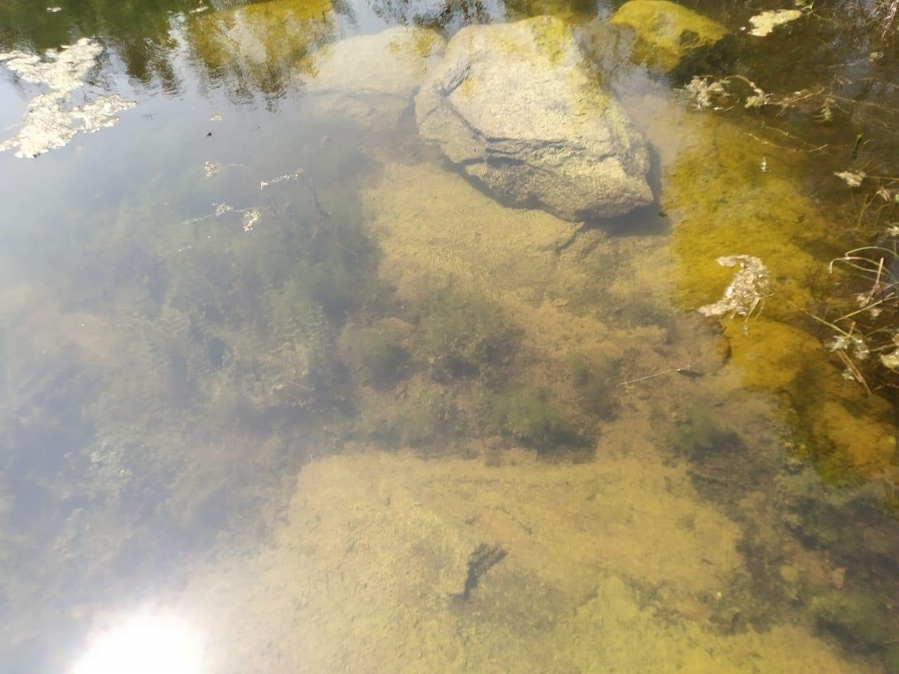 WhatsApp-Image-2023-03-08-at-7.53.54-AM