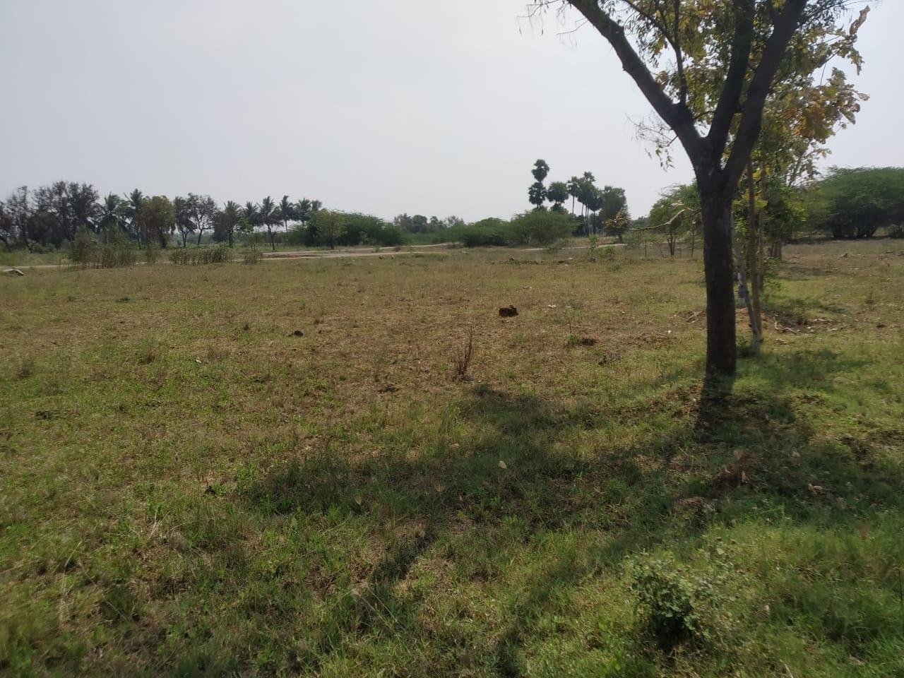 WhatsApp-Image-2023-03-08-at-7.53.57-AM