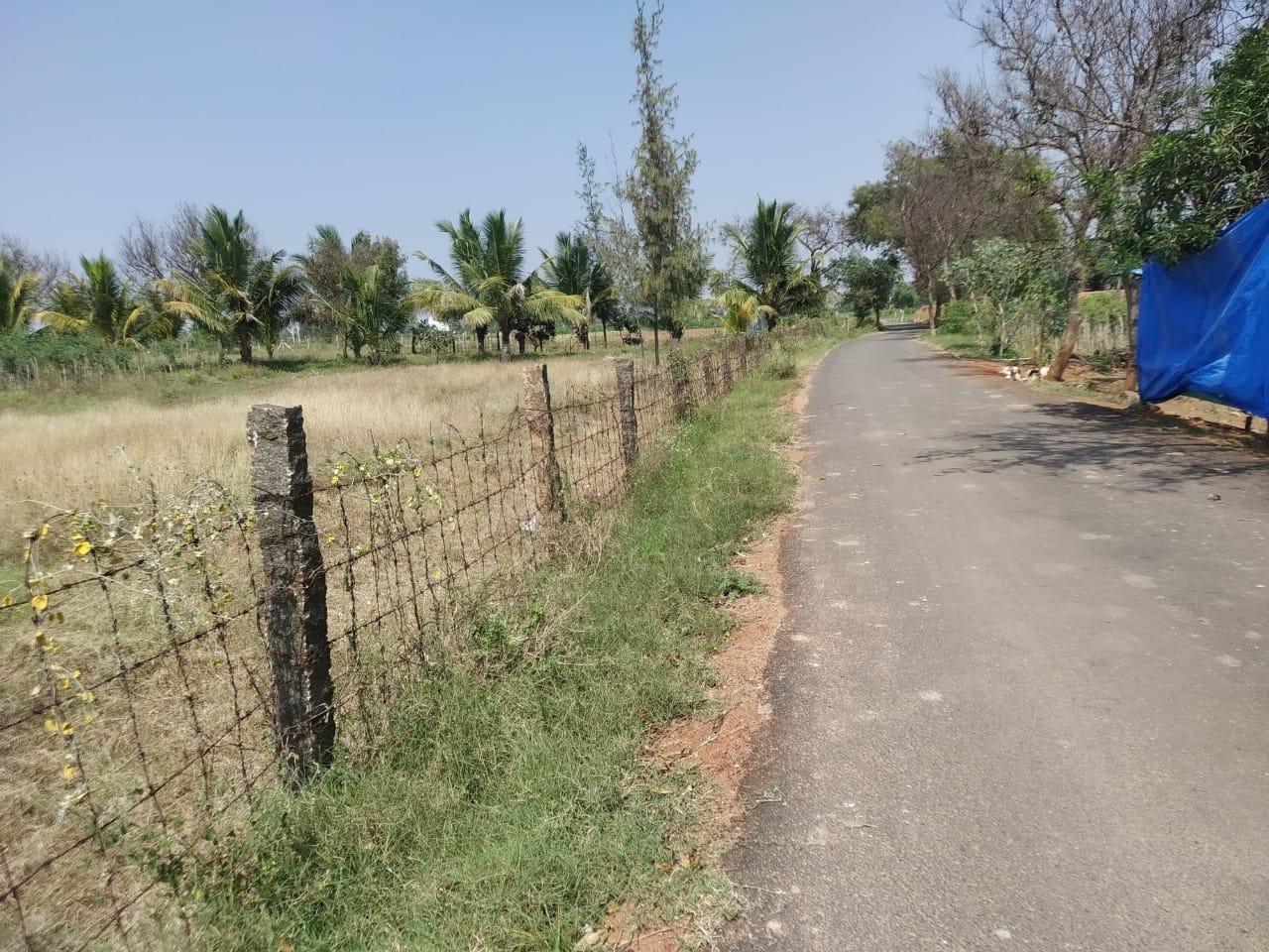 WhatsApp-Image-2023-03-08-at-7.53.59-AM