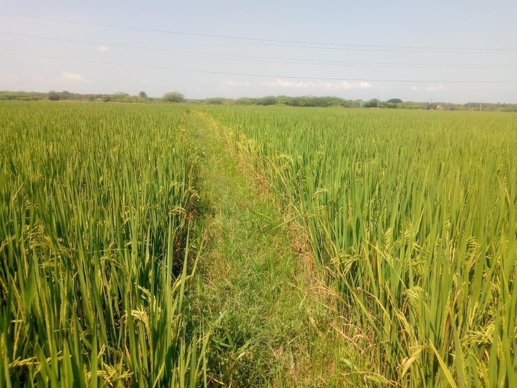 WhatsApp-Image-2023-03-10-at-11.15.56-AM