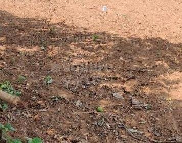 WhatsApp-Image-2023-03-10-at-4.37.08-PM