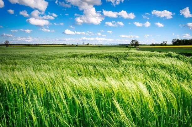 WhatsApp-Image-2023-03-11-at-4.51.49-PM