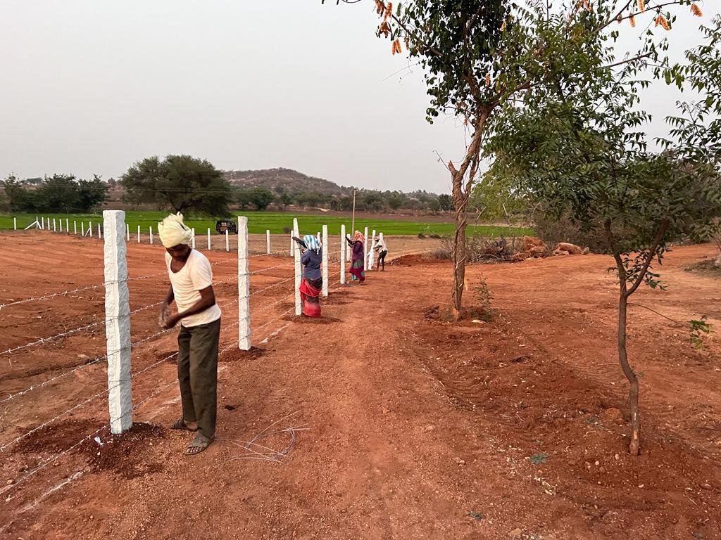 WhatsApp-Image-2023-03-12-at-10.51.15-PM