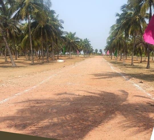 WhatsApp-Image-2023-03-13-at-1.43.00-PM