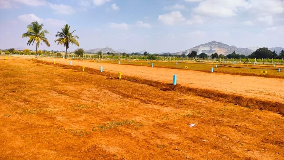 WhatsApp-Image-2023-03-15-at-4.16.04-PM