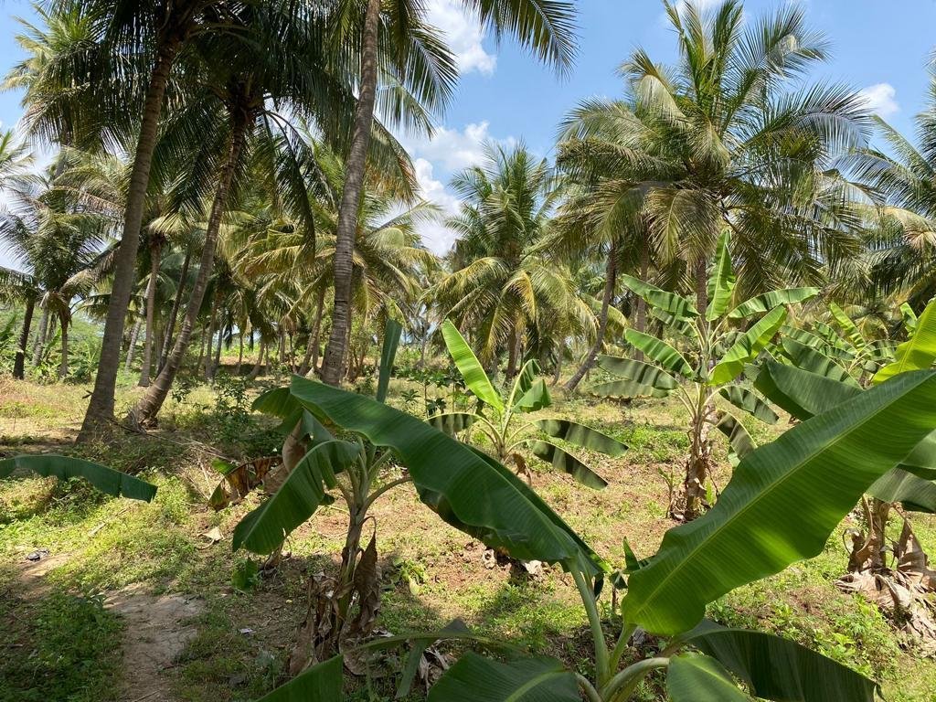 WhatsApp-Image-2023-03-21-at-8.37.38-AM