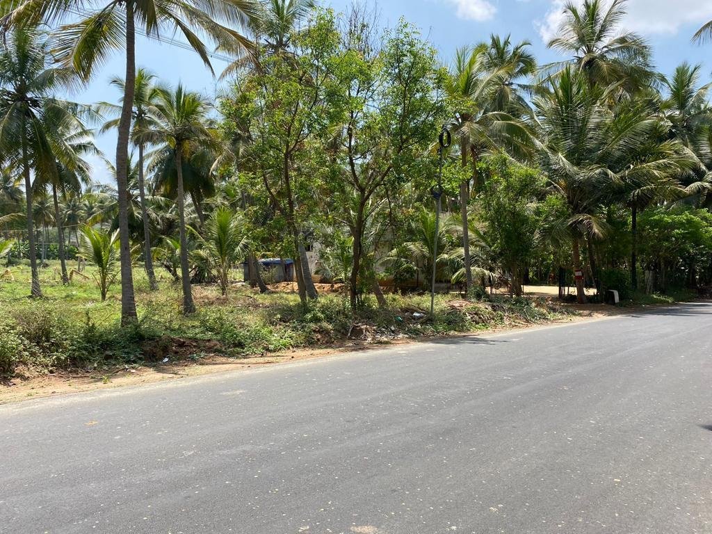 WhatsApp-Image-2023-03-21-at-8.37.39-AM