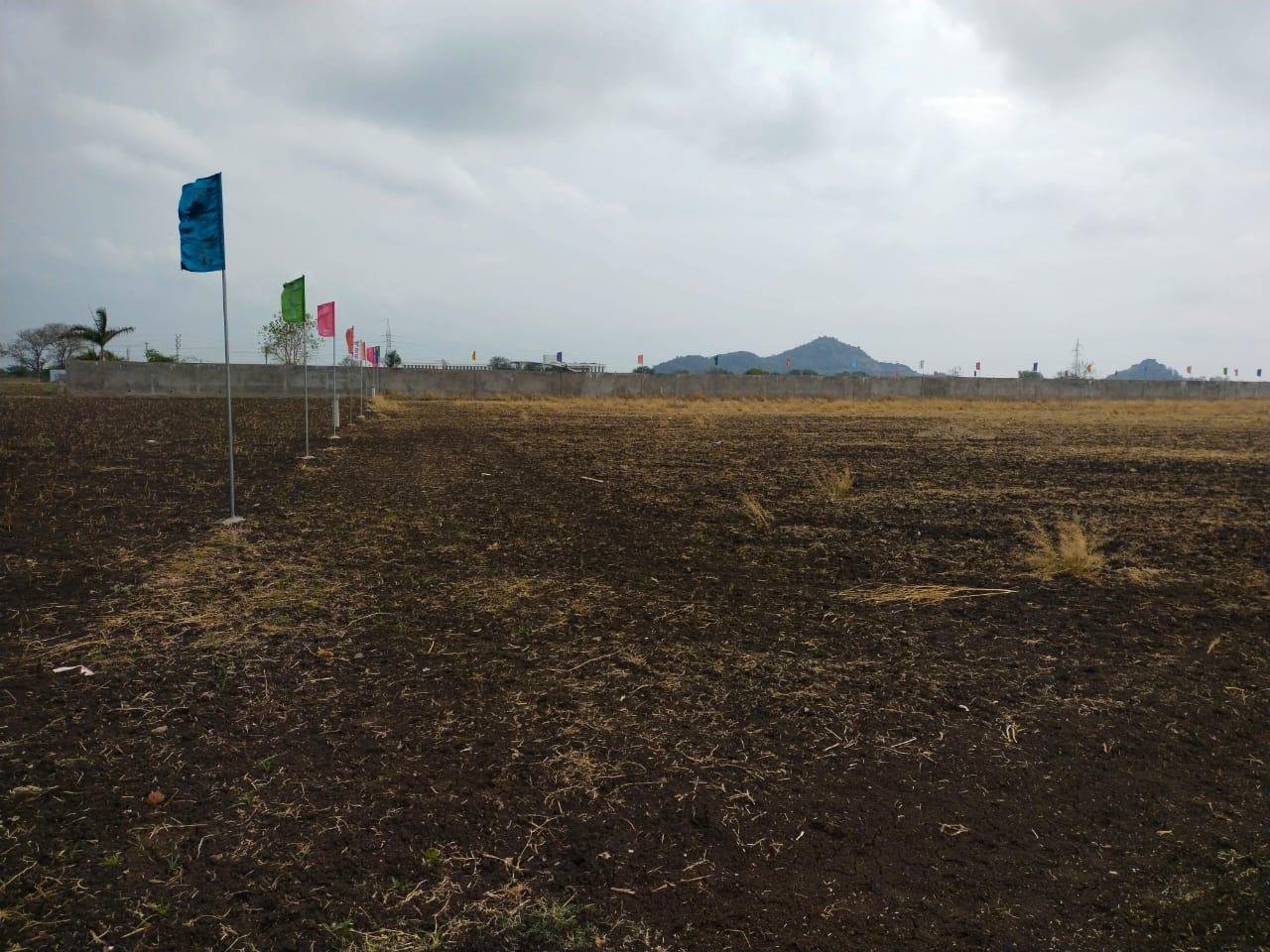 WhatsApp-Image-2023-03-23-at-2.54.30-PM