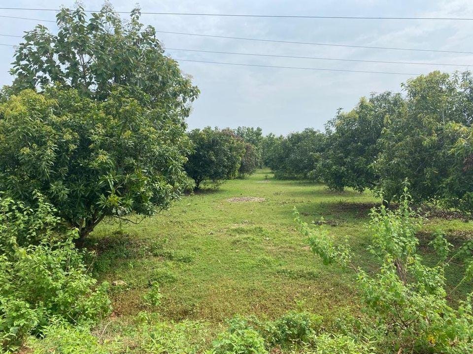 WhatsApp-Image-2023-03-23-at-4.07.55-PM