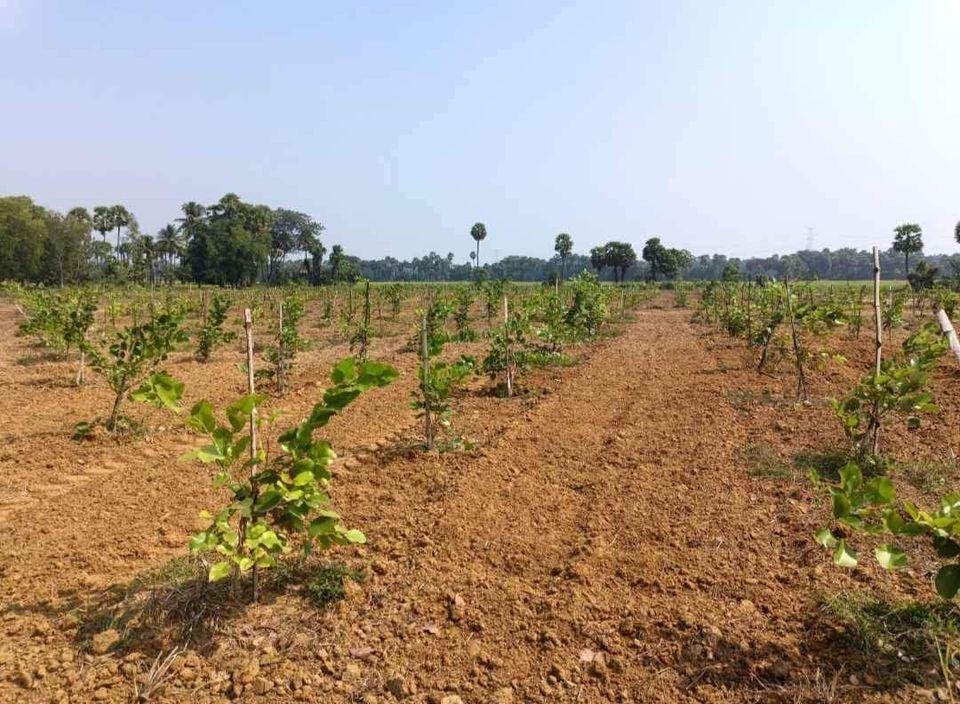 WhatsApp-Image-2023-03-24-at-12.04.03-PM