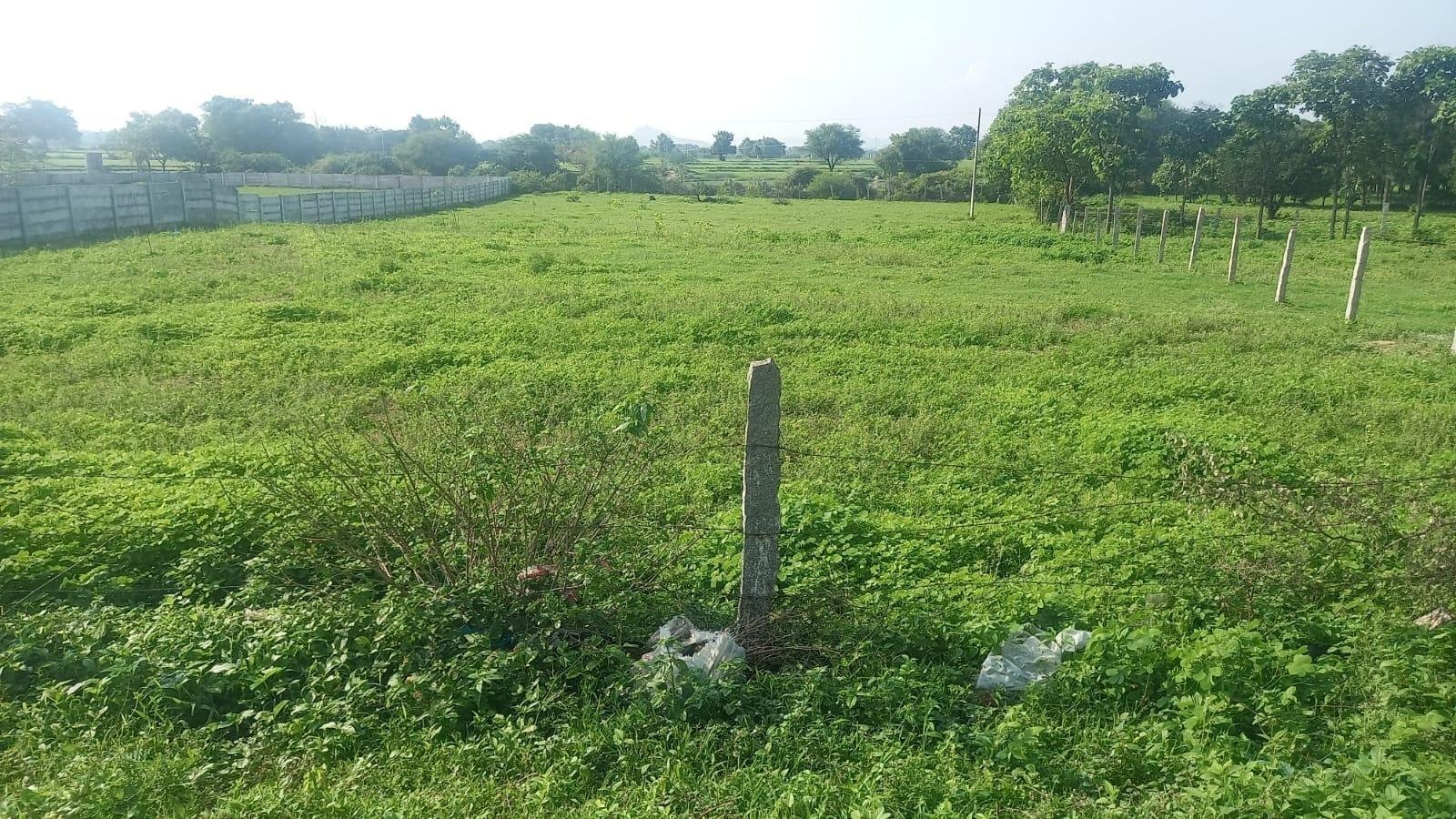 WhatsApp-Image-2023-03-24-at-12.11.19-PM