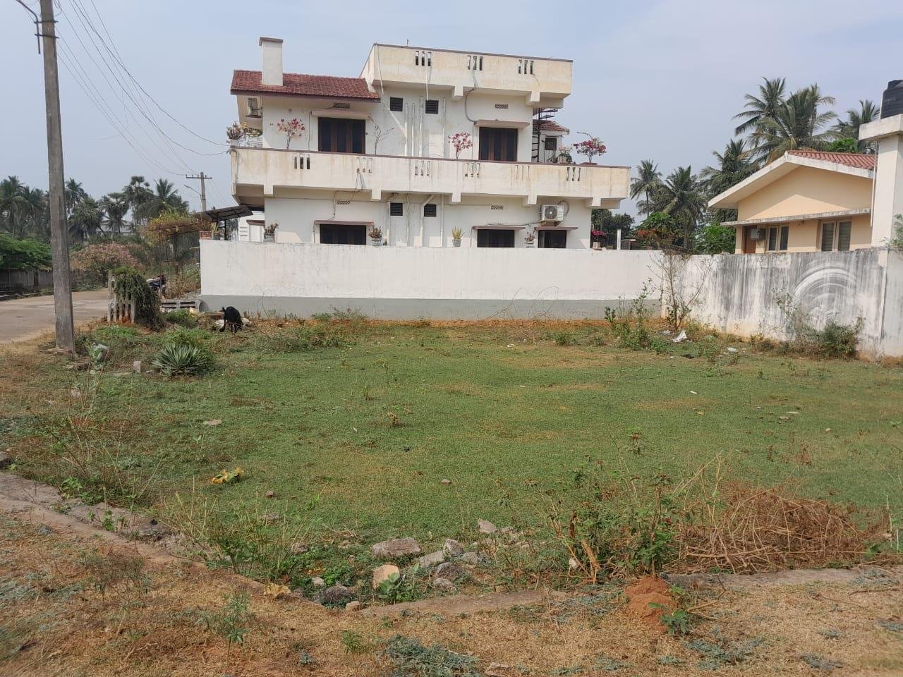 WhatsApp-Image-2023-03-24-at-12.23.54-PM-1