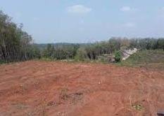 WhatsApp-Image-2023-03-25-at-10.38.39-AM