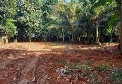 WhatsApp-Image-2023-03-25-at-10.47.29-AM