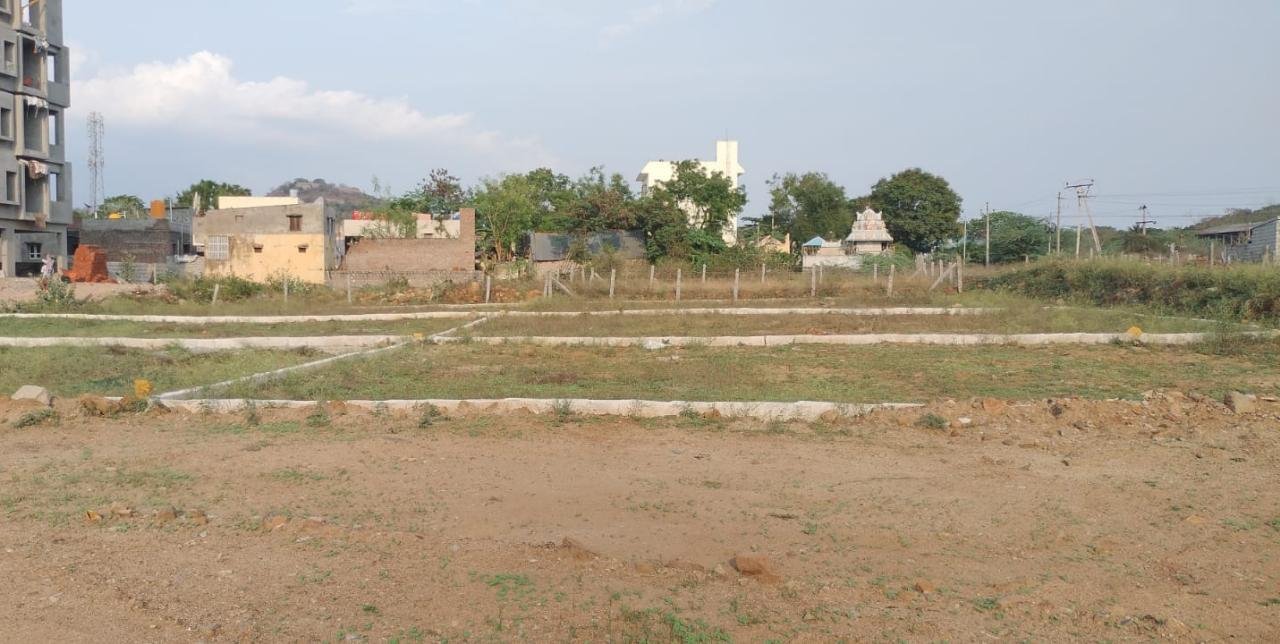 WhatsApp-Image-2023-03-25-at-12.35.51-PM