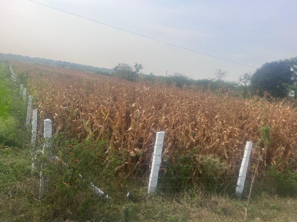 WhatsApp-Image-2023-03-25-at-4.16.32-PM