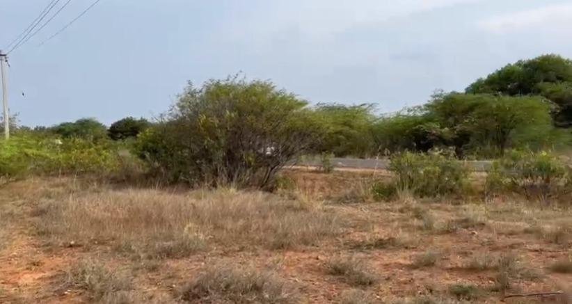 WhatsApp-Image-2023-03-28-at-3.29.14-PM