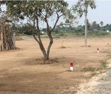 WhatsApp-Image-2023-04-04-at-2.48.50-PM