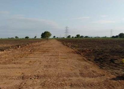 WhatsApp-Image-2023-04-04-at-4.32.58-PM