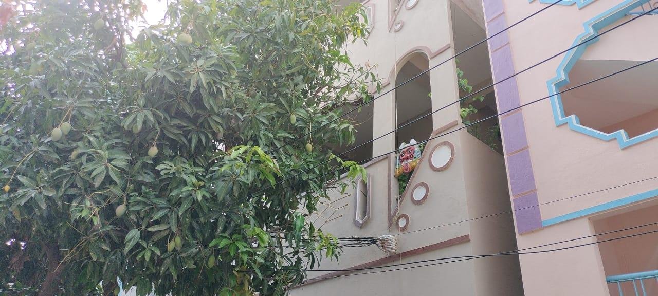 WhatsApp-Image-2023-04-05-at-3.22.30-PM