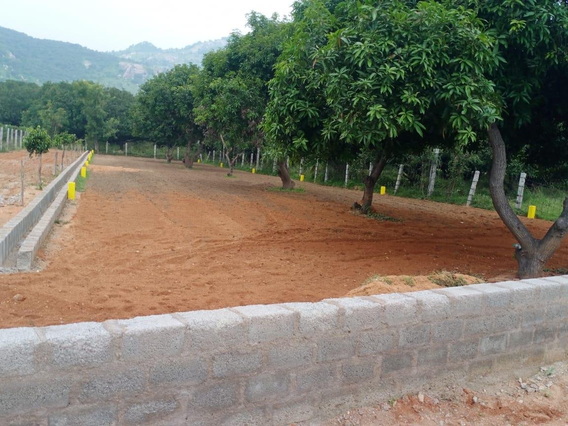 WhatsApp-Image-2023-04-08-at-4.21.42-PM