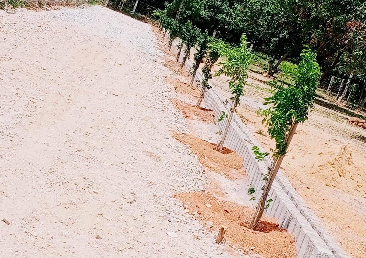 WhatsApp-Image-2023-04-08-at-4.21.43-PM-1