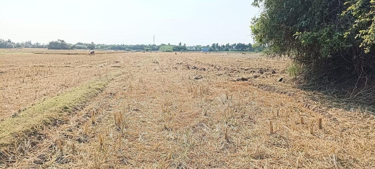 WhatsApp-Image-2023-04-10-at-2.37.39-PM