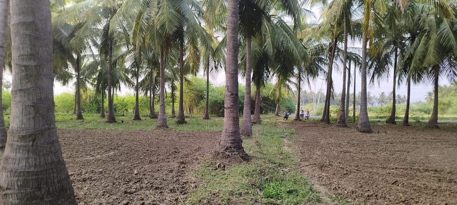 WhatsApp-Image-2023-04-10-at-2.40.59-PM