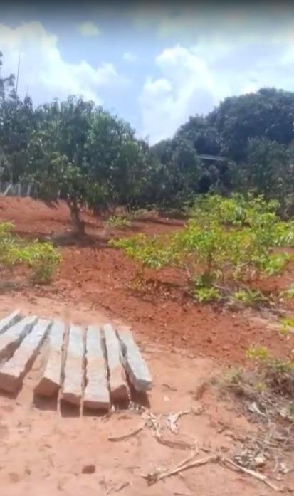 WhatsApp-Image-2023-04-10-at-5.01.28-PM