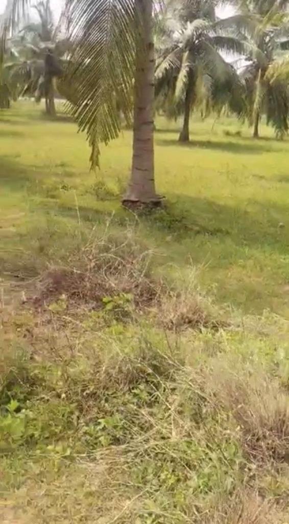 WhatsApp-Image-2023-04-11-at-3.34.44-PM