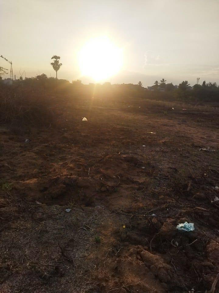 WhatsApp-Image-2023-04-12-at-7.47.56-AM