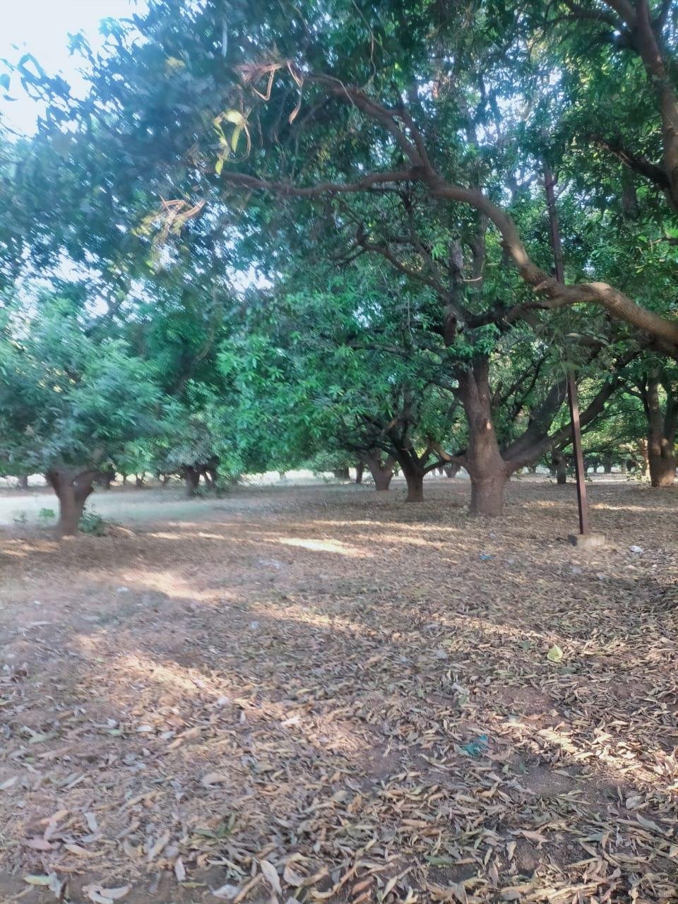 WhatsApp-Image-2023-04-15-at-5.30.43-PM