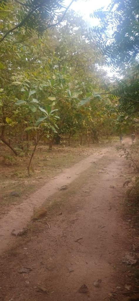 WhatsApp-Image-2023-04-15-at-5.33.53-PM