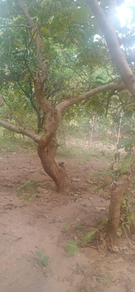 WhatsApp-Image-2023-04-15-at-5.33.54-PM